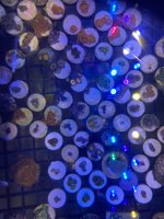 IMG_0645.jpeg