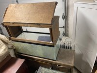 IMG_0389.jpeg