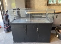 IMG_1387.jpeg