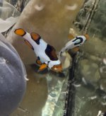 IMG_6692.jpeg