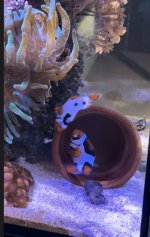 IMG_6691.jpeg