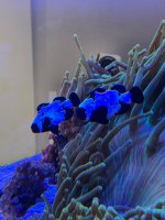 IMG_6645.jpeg