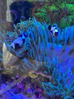 IMG_6644.jpeg