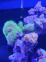 20250216_120849.jpg
