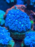 IMG_6010.jpeg