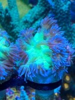 IMG_6006.jpeg
