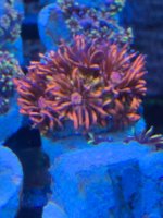 IMG_6011.jpeg