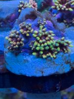 IMG_6012.jpeg