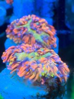 IMG_5992.jpeg