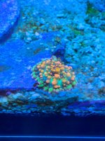 IMG_5988.jpeg