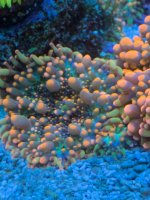 IMG_5987.jpeg