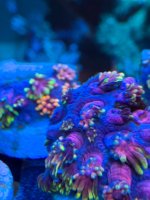 IMG_5996.jpeg