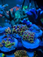IMG_5999.jpeg