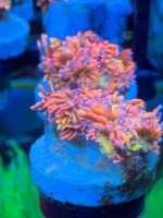IMG_6005.jpeg