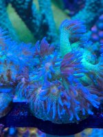 IMG_6008.jpeg