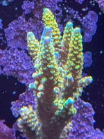 IMG_6056.jpeg