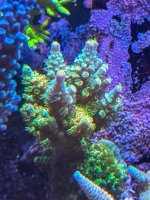IMG_6055.jpeg