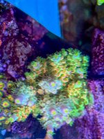 IMG_6053.jpeg