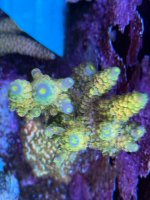 IMG_6052.jpeg