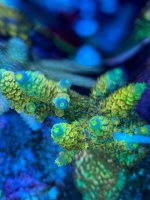 IMG_6050.jpeg