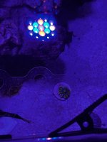 IMG_3638.jpeg