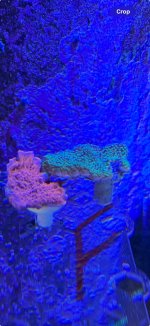 IMG_1183.jpeg