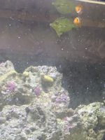 IMG_4258.jpeg