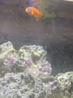 IMG_4259.jpeg