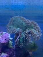 IMG_4231.jpeg