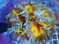 image000001(4).jpg