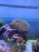 IMG_4261.jpeg