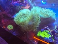 20250104_193443.jpg