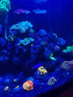 IMG_3270.jpeg