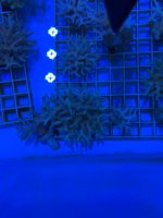 IMG_6562.jpeg