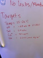 IMG_6560.jpeg