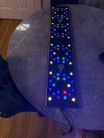 IMG_2093.jpeg