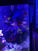 IMG_3906.jpeg