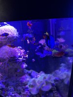 IMG_3905.jpeg