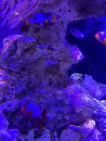 IMG_3907.jpeg