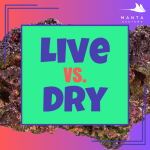 Live vs Dry.png