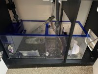IMG_3257.jpeg