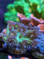 IMG_6075.jpeg