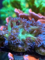 IMG_6076.jpeg