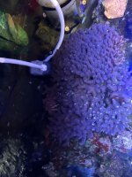 IMG_0939.jpeg IMG_0939.jpeg