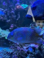 IMG_4474.jpg