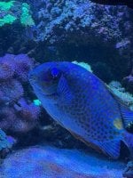 IMG_4476.jpg