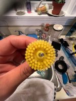 IMG_0942.jpeg