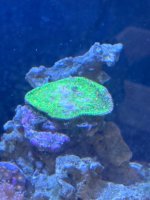 IMG_1437.jpeg