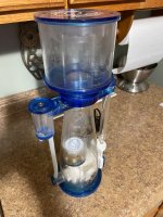 IMG_1436.jpeg