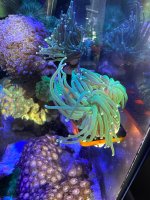 IMG_1338.jpeg